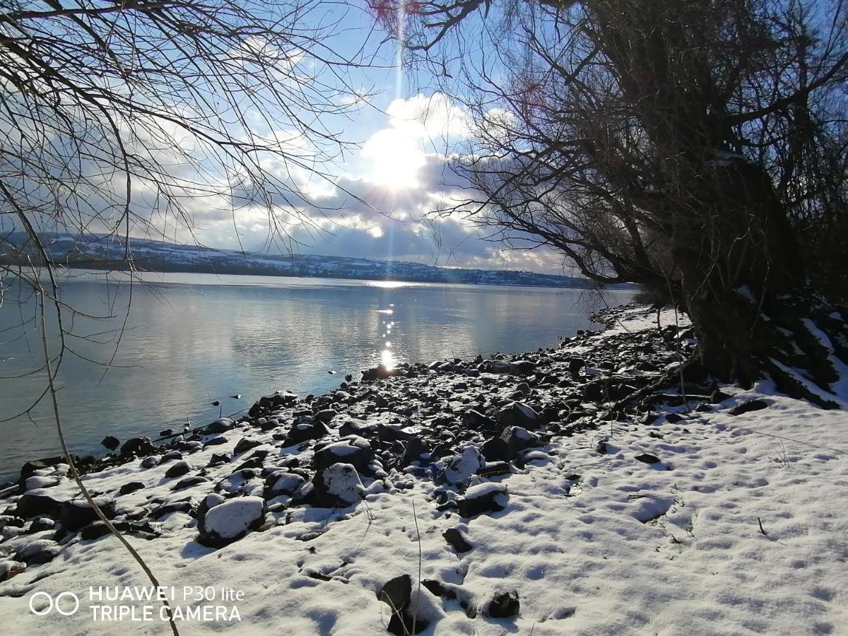 Futog Danube Fairyヴィラ エクステリア 写真