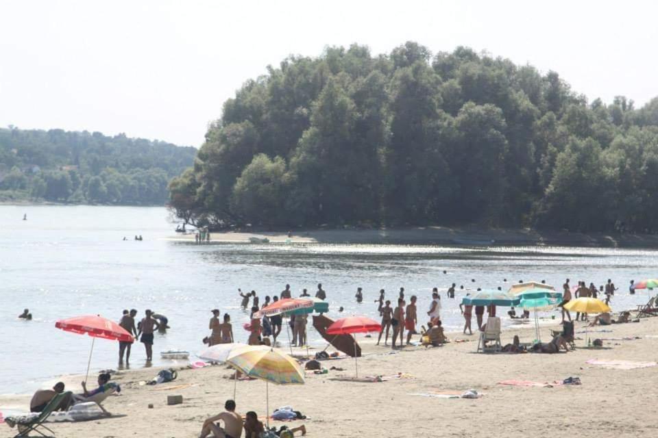 Futog Danube Fairyヴィラ エクステリア 写真