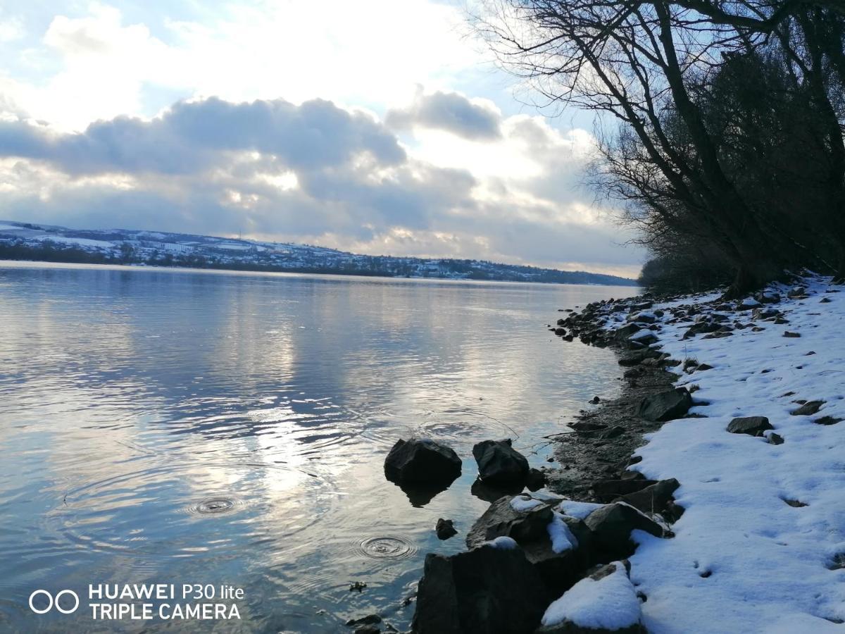 Futog Danube Fairyヴィラ エクステリア 写真