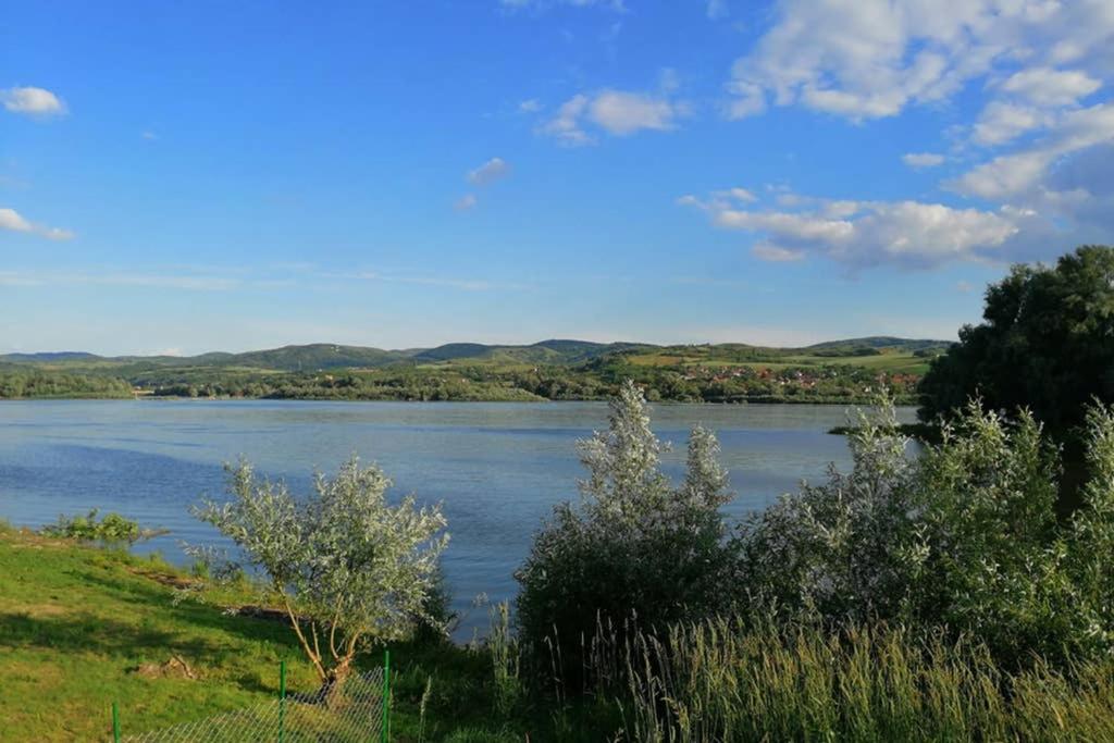 Futog Danube Fairyヴィラ エクステリア 写真