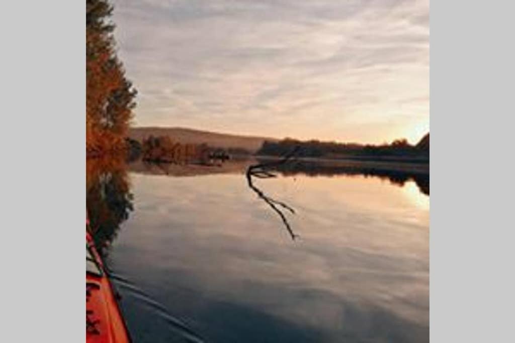 Futog Danube Fairyヴィラ エクステリア 写真